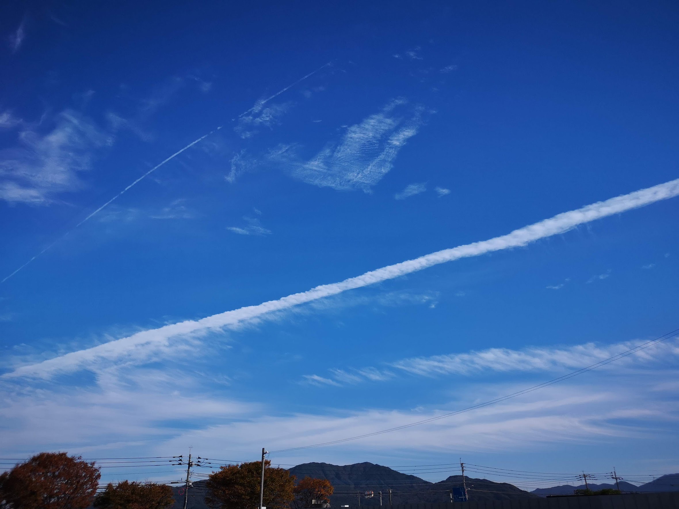 鼻・喉・気管支・肺